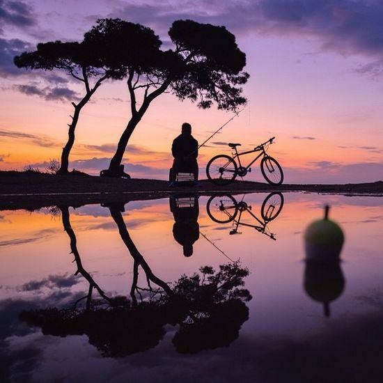 夕阳下的单车时光图片来自网络